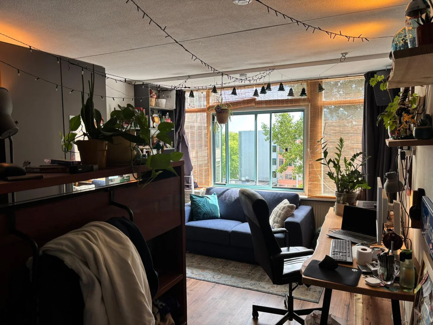 Chambre d'étudiant économique avec emplacement pratique dans 