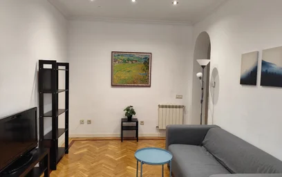 Całe miejsce Calle de Viriato, obraz 2 19
