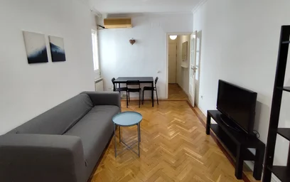 Całe miejsce Calle de Viriato, obraz 4 19