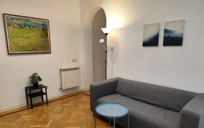 Całe miejsce Calle de Viriato, obraz 1 19