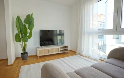 Apartamento inteiro em Stadlauer Straße, Donaustadt, imagem 3 de 10