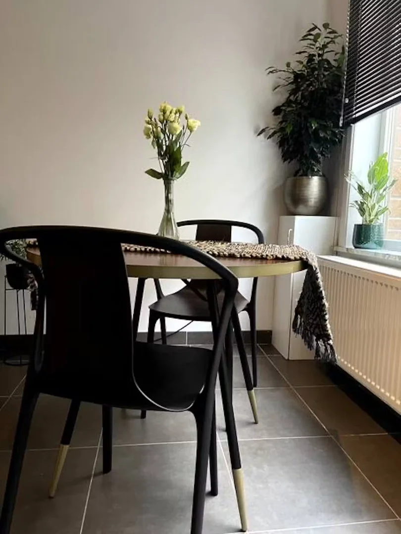Matrozenstraat, Muide-Meulestede-Afrikalaan