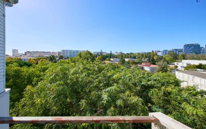 Chambre privée à Rua Luís de Freitas Branco, image 9 de 49