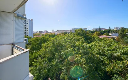 Chambre privée à Rua Luís de Freitas Branco, image 10 de 49
