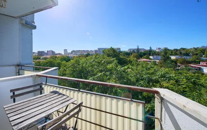 Chambre privée à Rua Luís de Freitas Branco, image 8 de 49