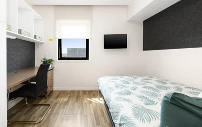 {area} de şık stüdyo daire
