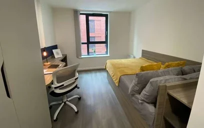 Quarto privado em residência em 17 Hollis Croft, Sheffield City Centre, Sheffield S1 4NQ, United Kingdom, imagem 1 de 37