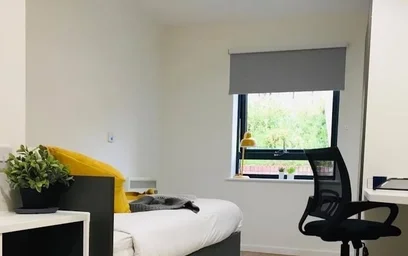 Pokój do wynajęcia we wspólnym mieszkaniu w {area}