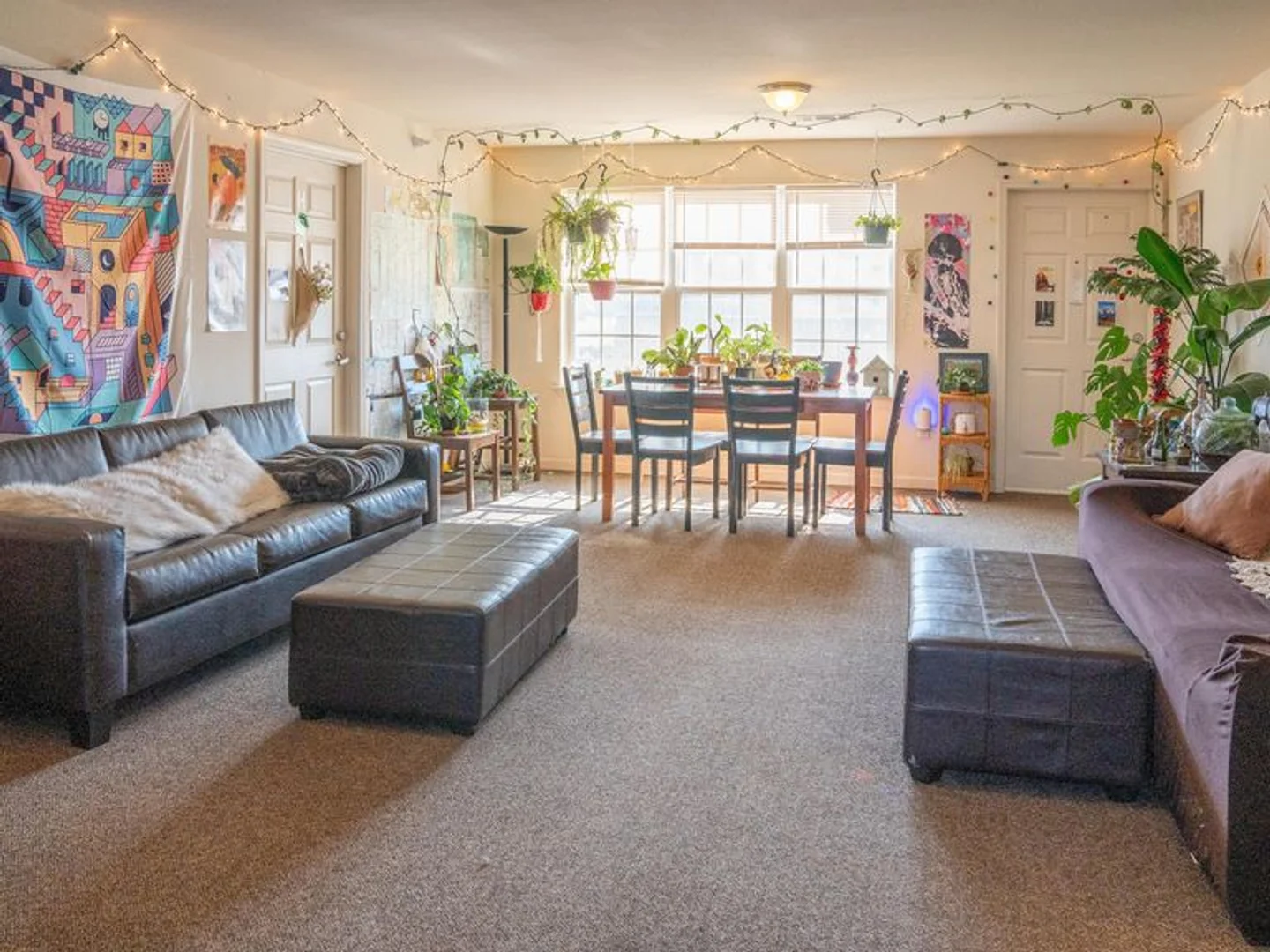 2101 Perennial Ln, Fort Collins, CO 80526, USA