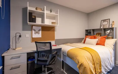 Great studio apartment in {area}
