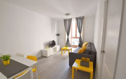 Entire fully furnished flat in {area}