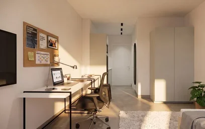 Studio élégant à {area}