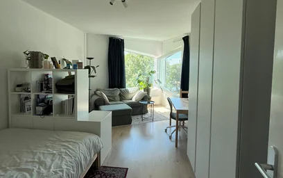 Room for rent in a shared flat in {area}