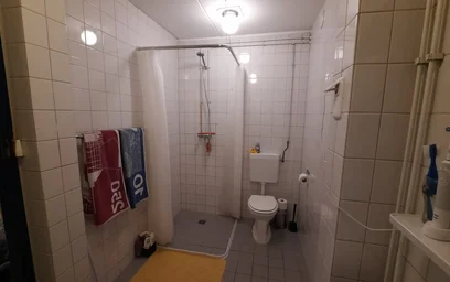 Private room at Witbreuksweg, image 7 of 10