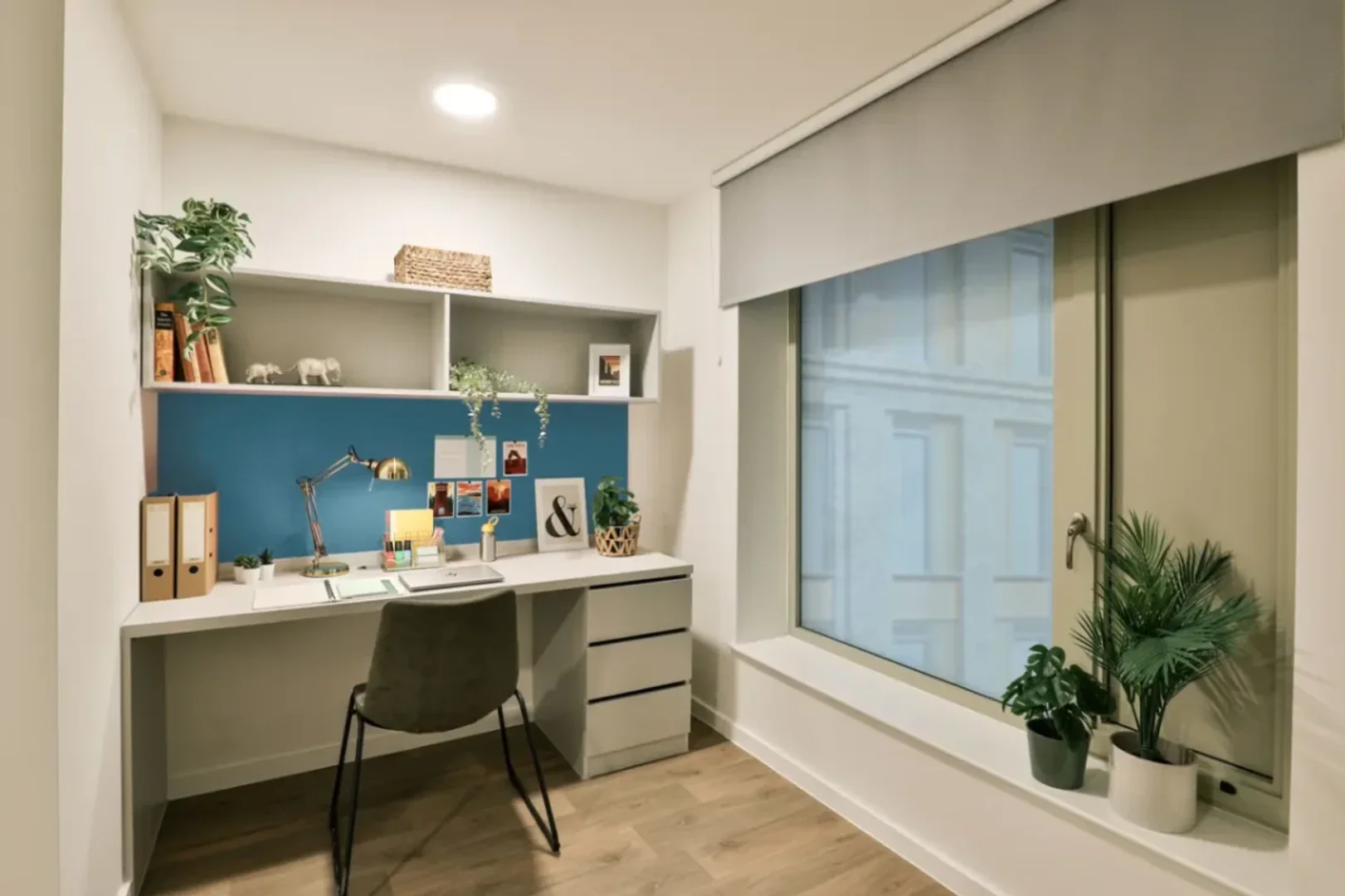 Habitación estudiantil amplia y cómoda en 