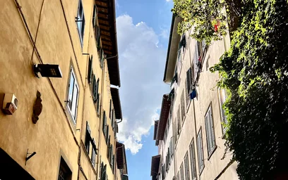 Całe miejsce Via del Moro, Santa Maria Novella, obraz 6 10