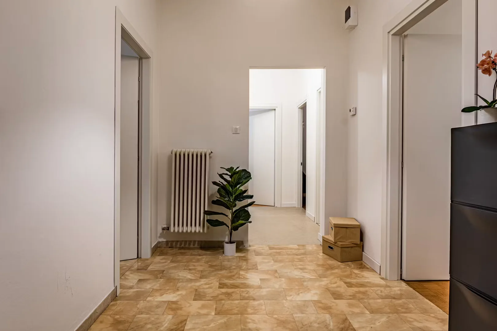 Cozy room for students available in 