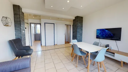 Quarto privado em 114 Avenue Gabriel Péri, Saint-Martin-d'Hères 38400, imagem 21 de 24