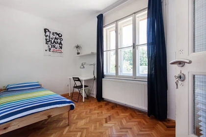 Room for rent with double bed Ljubljana