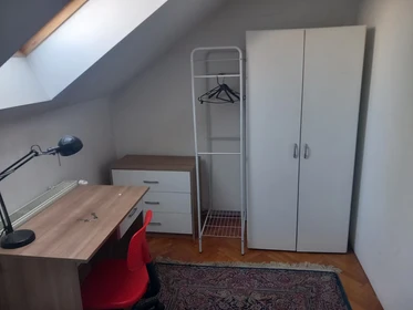 Bright private room in Ljubljana