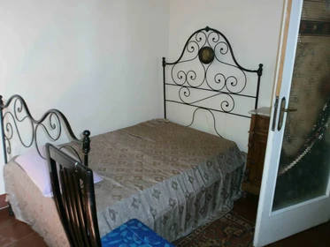 Renting rooms by the month in Pisa