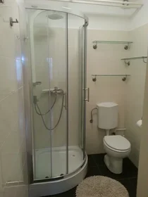 Privatzimmer in der Vodovodna cesta, , bild 10 von 10