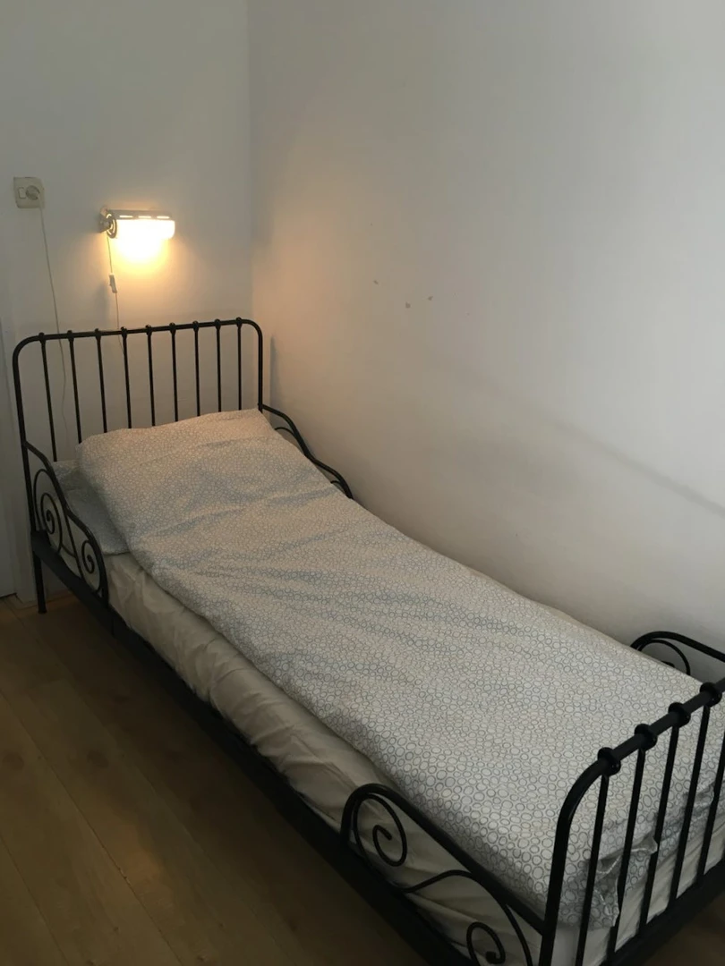 Room for rent in a shared flat in leeuwarden