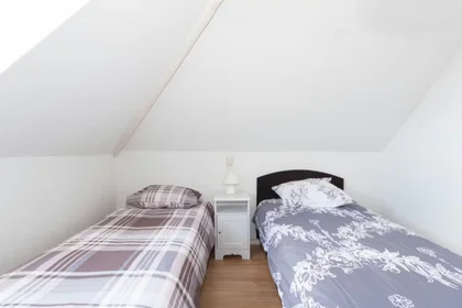 Prywatny pokój Honingerdijk, Kralingen-Crooswijk, obraz 1 9