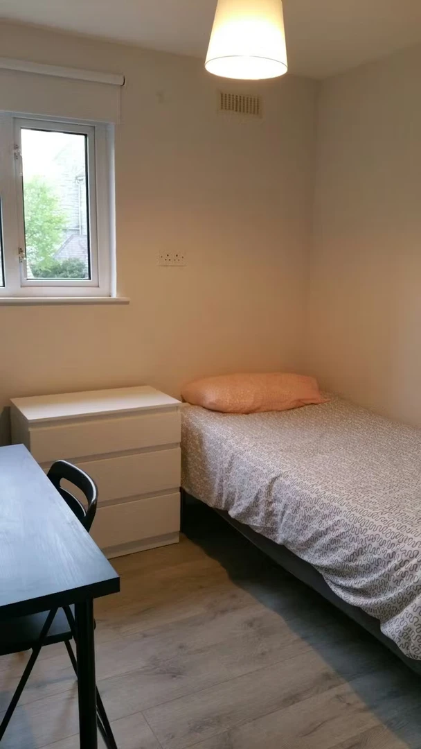 Budget-friendly student room close to campus in 