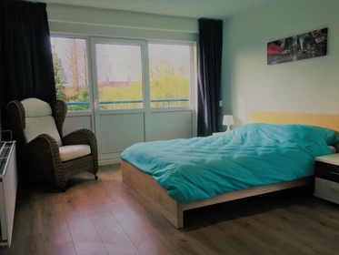 Renting rooms by the month in Rotterdam