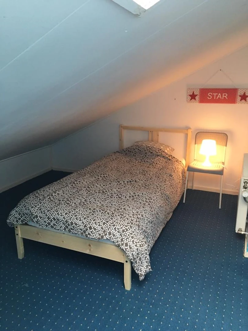 Chambre à louer dans un appartement en colocation à Leeuwarden
