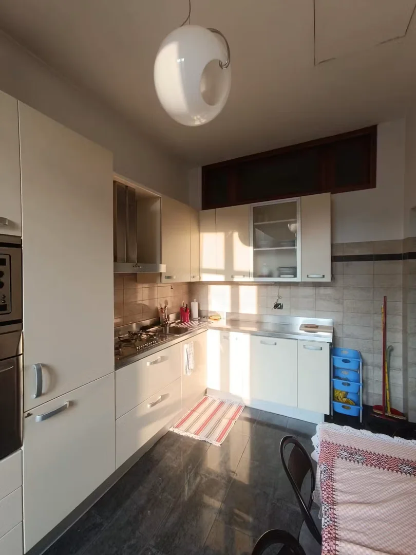 Affordable room for students with ample lighting in 