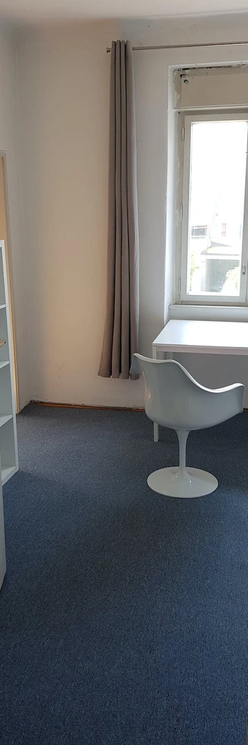 Ljubljana de ortak bir dairede kiralık oda