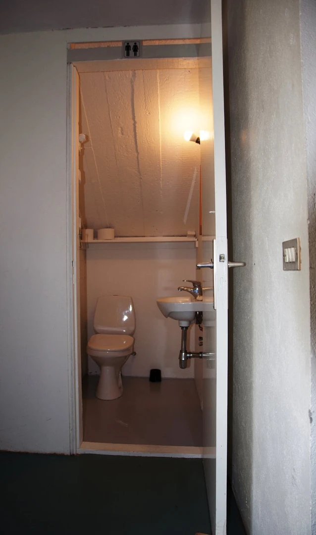 Reykjavík de ortak bir dairede kiralık oda
