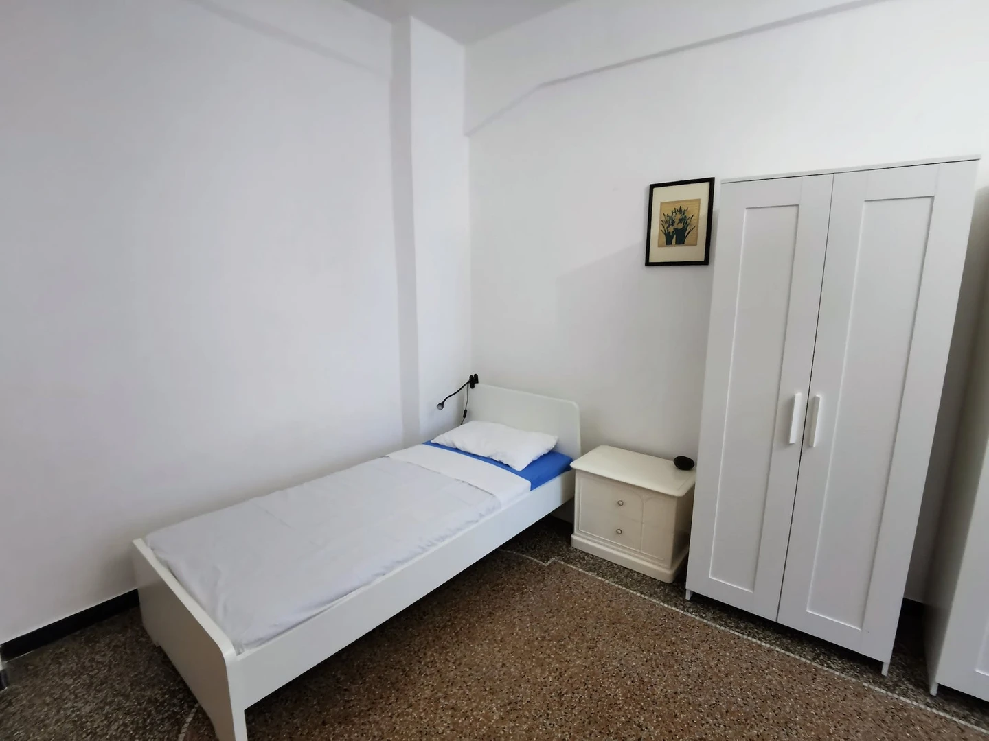 Cheap shared room in Genoa