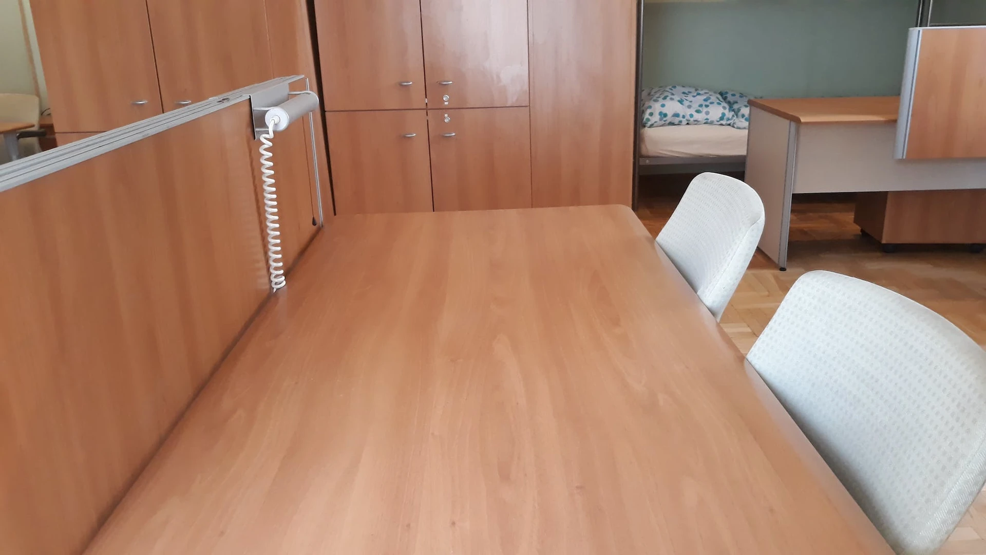 Habitación compartida con otro estudiante en Budapest
