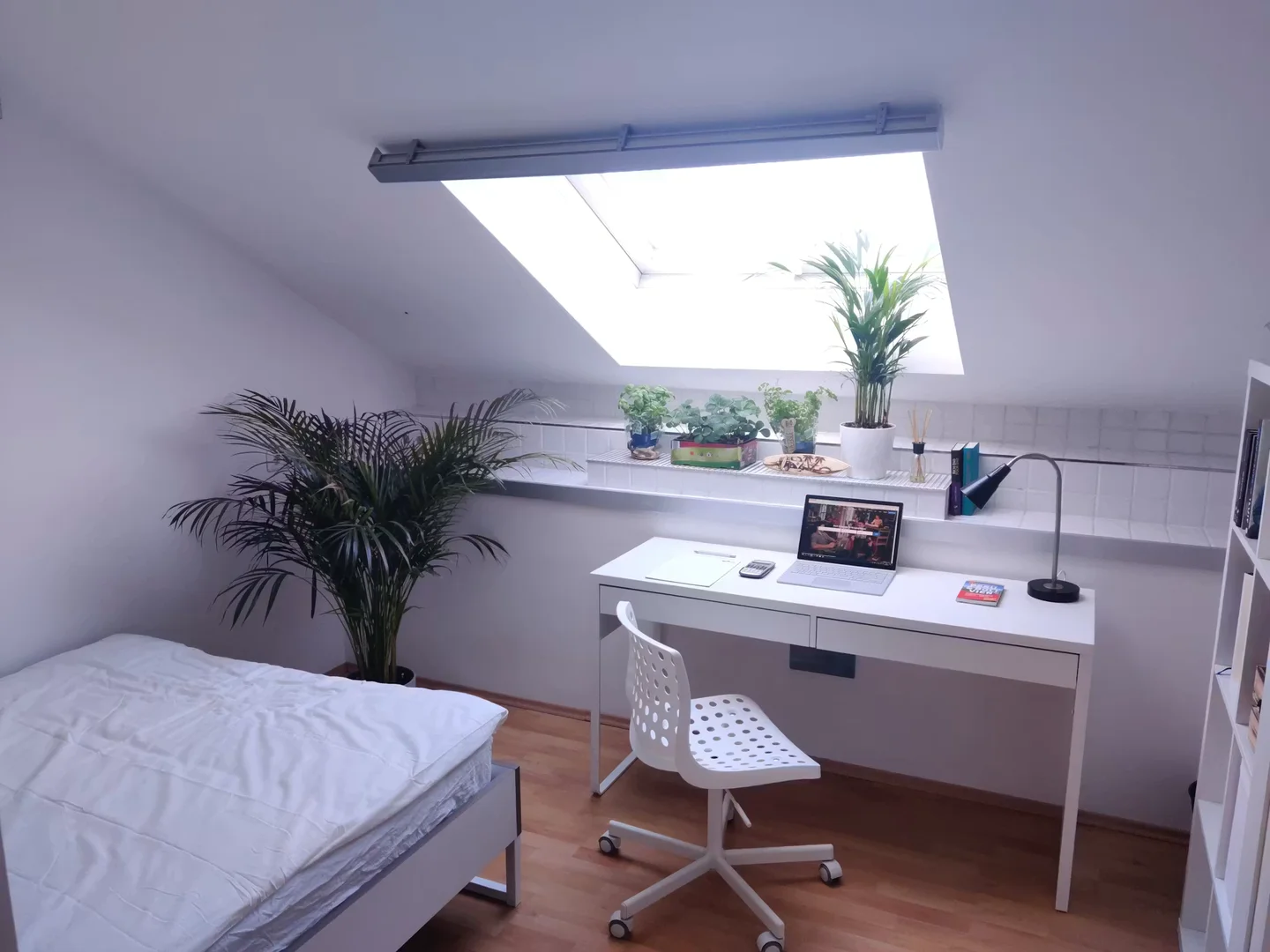 Chambre abordable pour les étudiants avec un bon éclairage dans