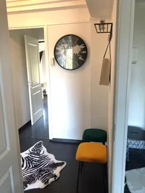 Habitación privada en Goudsesingel, Kralingen-Crooswijk, imagen 4 de 9