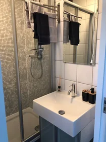 Habitación privada en Goudsesingel, Kralingen-Crooswijk, imagen 6 de 9