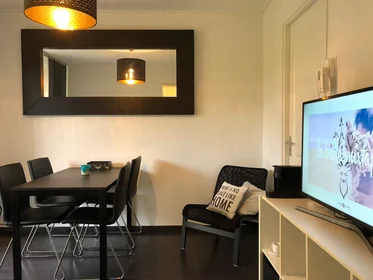 Habitación privada en Goudsesingel, Kralingen-Crooswijk, imagen 8 de 9