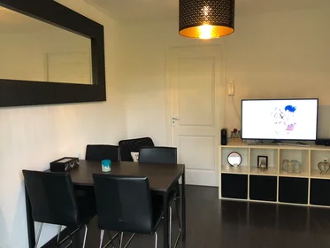 Habitación privada en Goudsesingel, Kralingen-Crooswijk, imagen 9 de 9