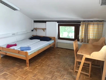 Renting rooms by the month in Ljubljana