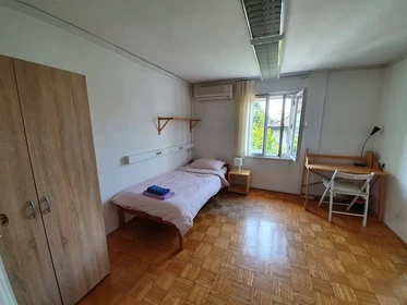 Bright private room in Ljubljana