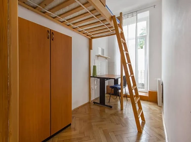 Chambre à louer avec lit double Ljubljana