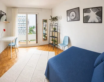 Private room at Avenue du Général de Gaulle, Bourse-Esplanade-Krutenau, image 1 of 8