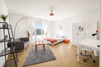 Private room at Avenue du Général de Gaulle, Bourse-Esplanade-Krutenau, image 1 of 10