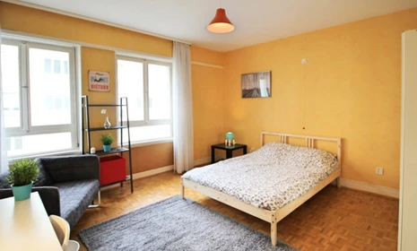 Room for rent with double bed Strasbourg