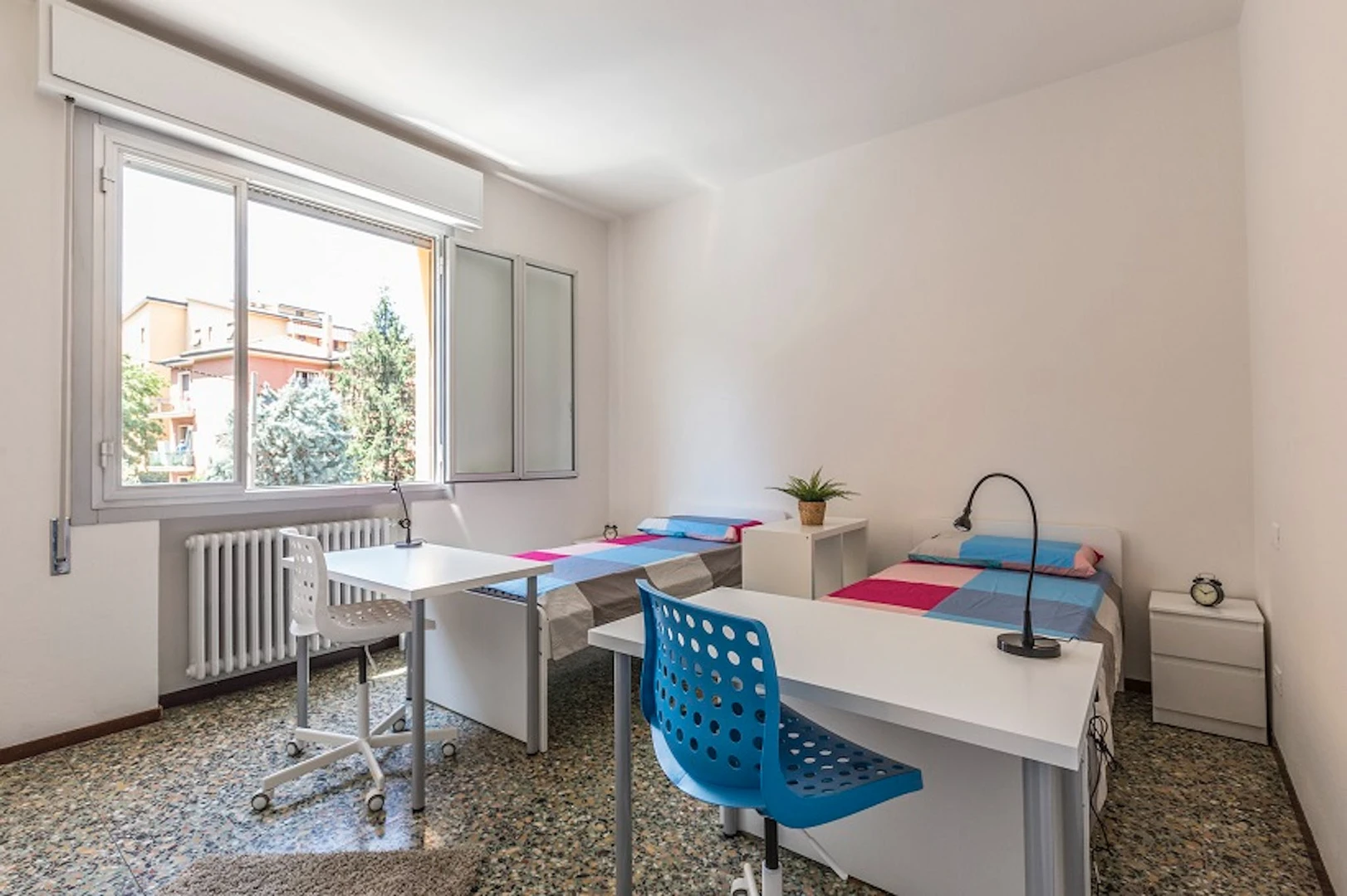 Cheap shared room in bologna