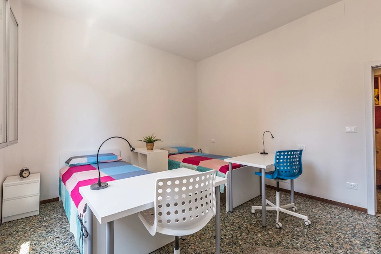 Shared room in 3-bedroom flat Bologna