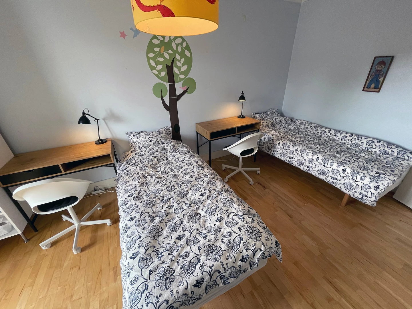 Gemeinsames Zimmer mit einem anderen Studierenden in Reykjavík